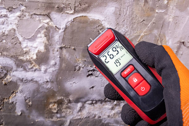 Best Attic Mold Removal  in Elm Creek, NE