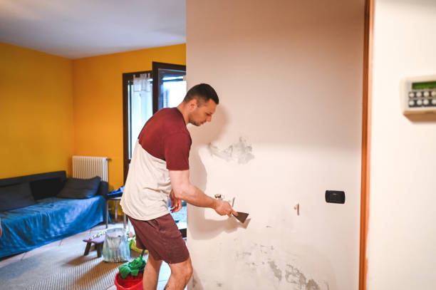 Best Mold Remediation  in Elm Creek, NE